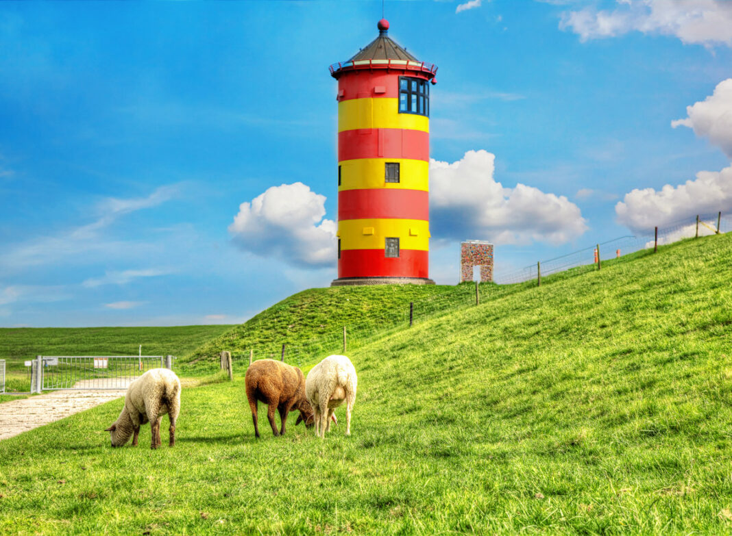Urlaub an Ostsee oder Nordsee? Schafe vor dem gestreiften Leuchtturm Pilsum an der Nordsee in Krummhörn