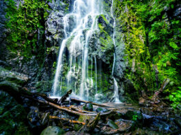 Wasserfall Schwarzwald: Welche sind die schönsten Wasserfälle?