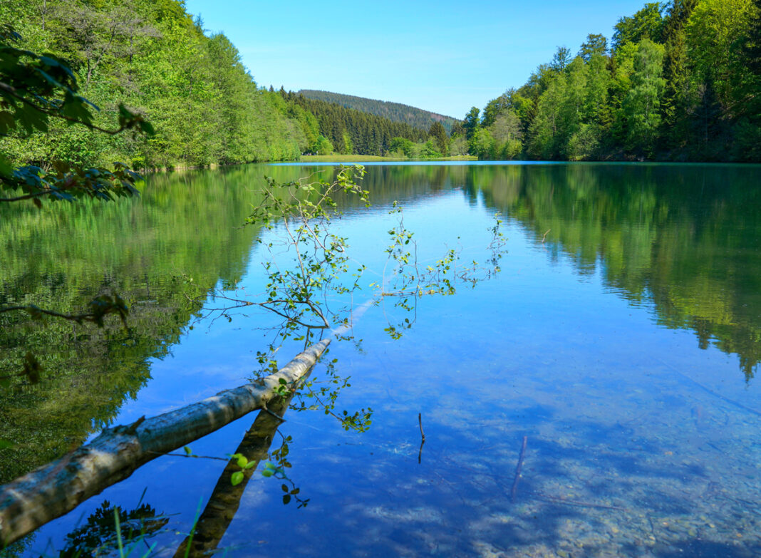 Einer der schönsten Seen in NRW ist der Silbersee bei Haltern Am See